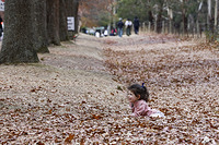 Mount Macedon Autumn
